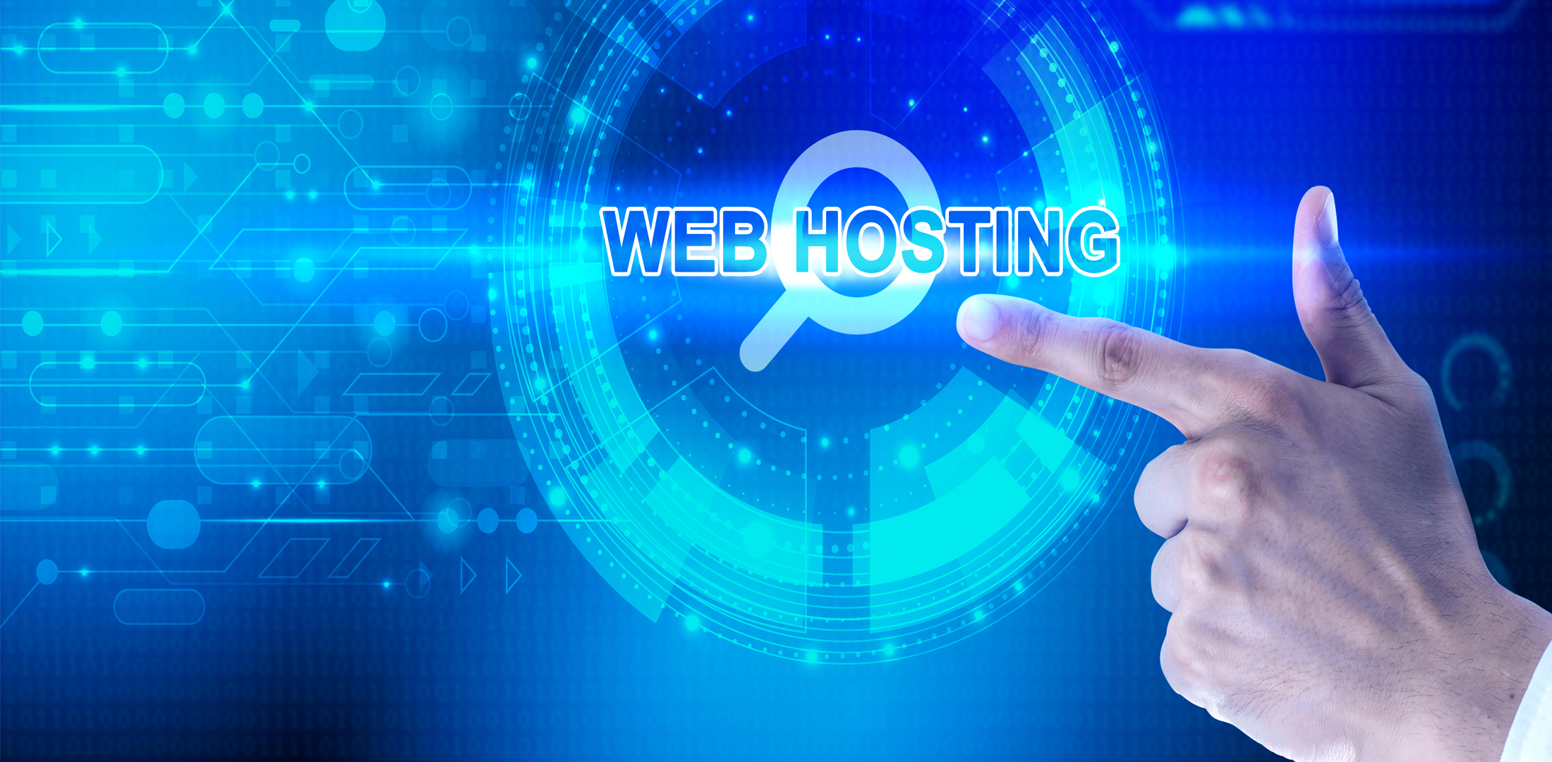 Web Hosting Agency in India