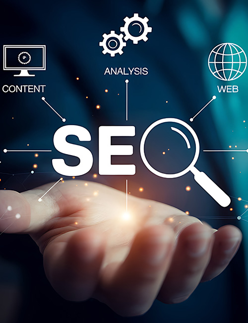 SEO Agency in Delhi