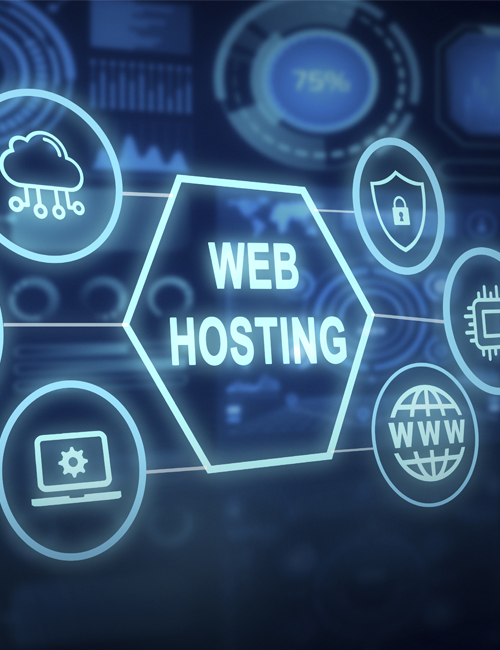 Web Hosting Agency In India